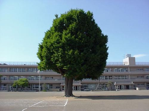 阿見小学校の概要 茨城県阿見町ホームページ