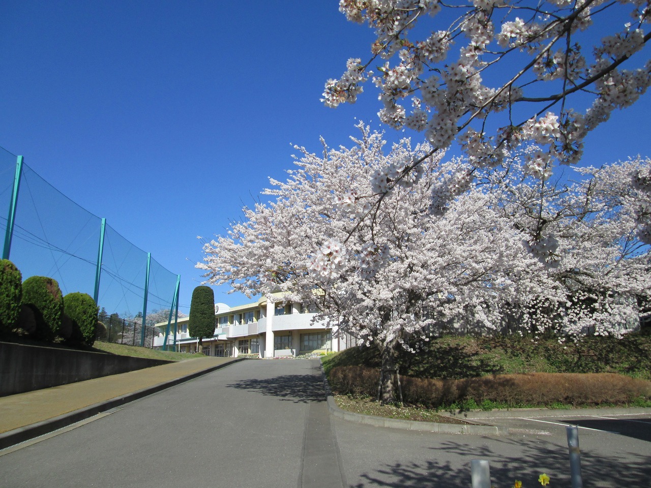 春の舟島小学校