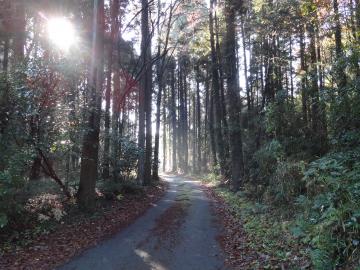 実穀の古屋敷