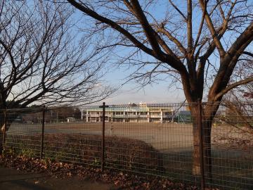 舟島小学校の桜