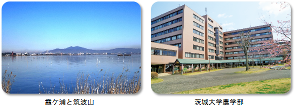 阿見町の風景と施設
