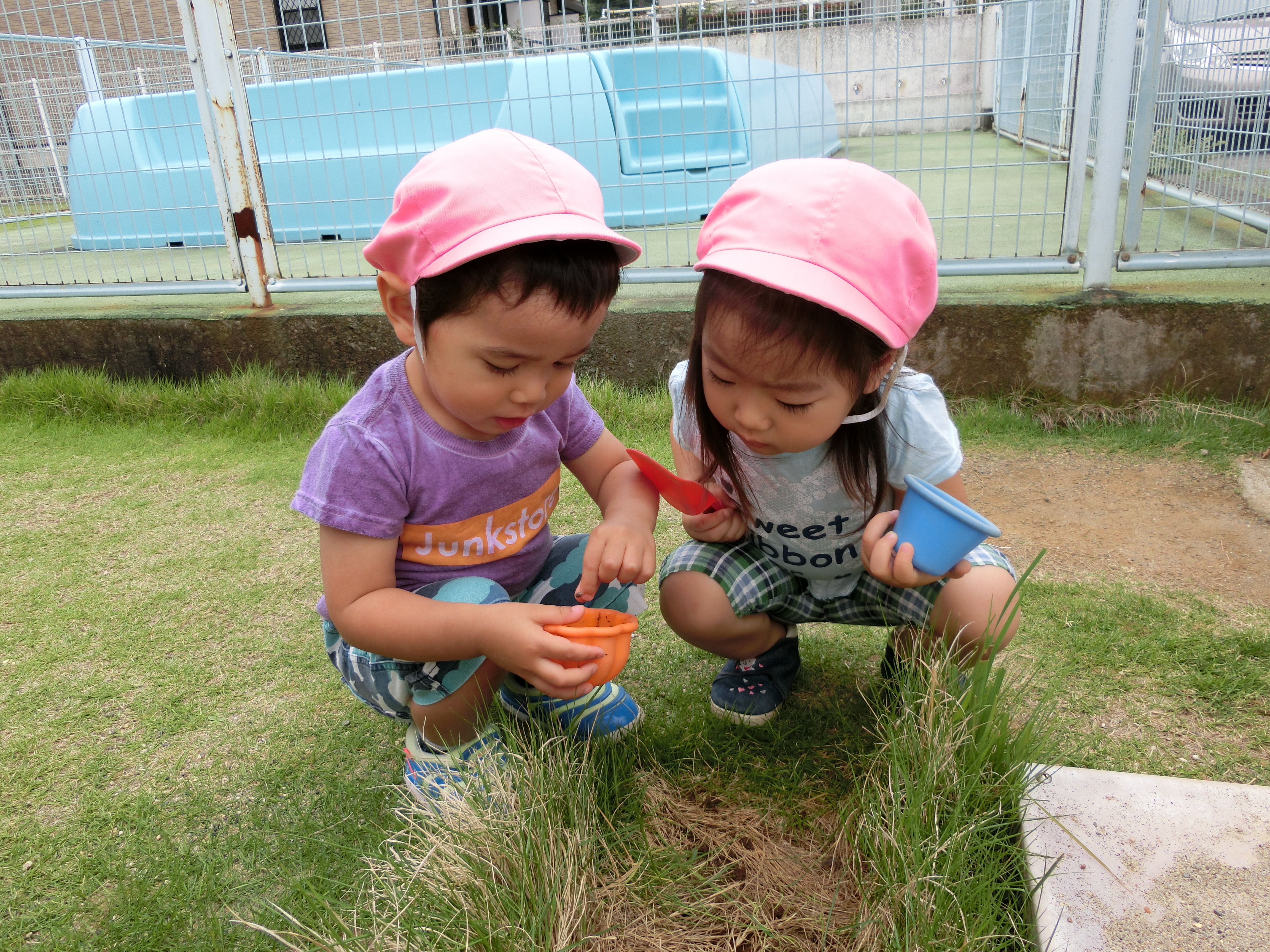 自然と遊ぶ