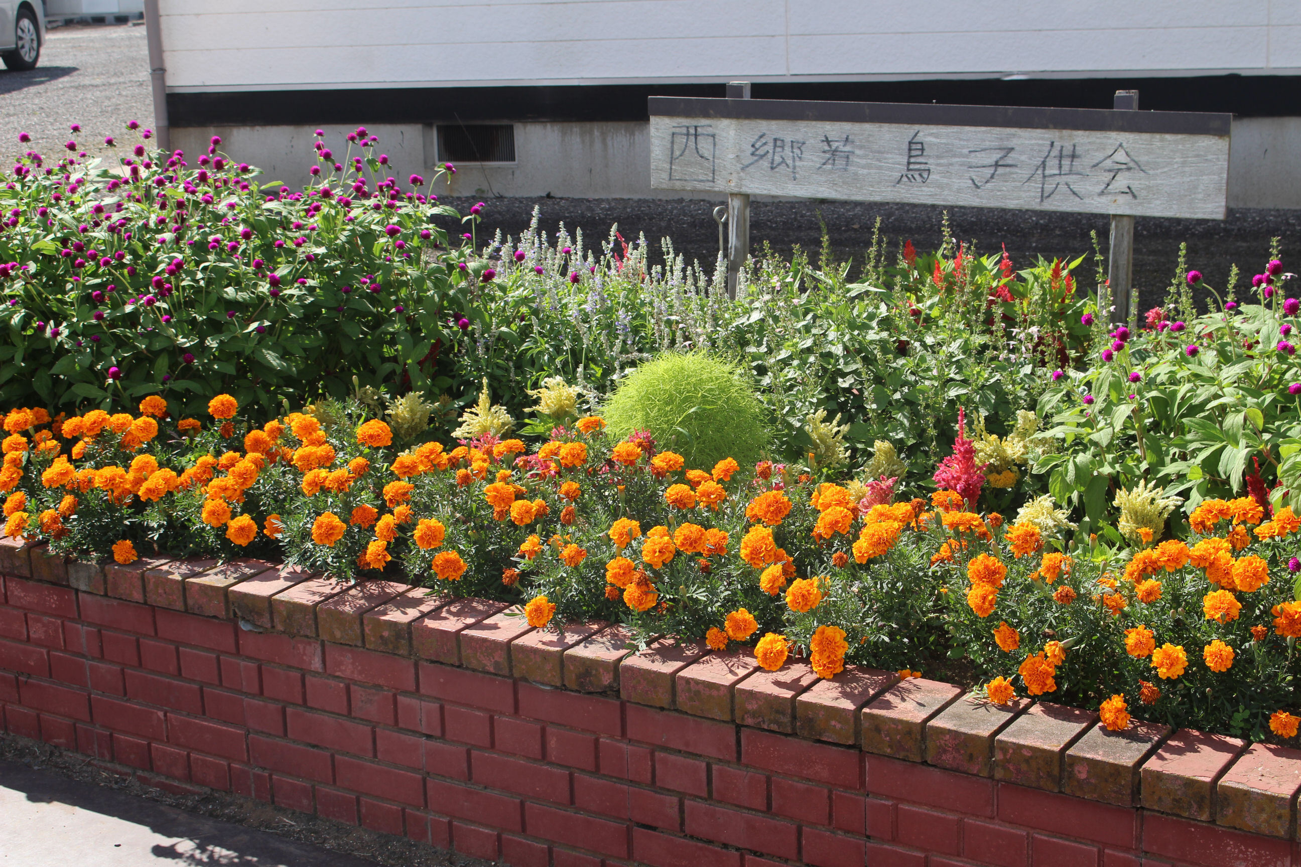 花壇審査 努力賞 西郷若鳥子ども会