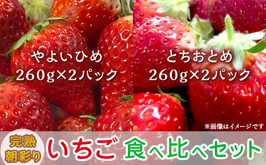 完熟朝彩りとちおとめ 260g以上×8パック