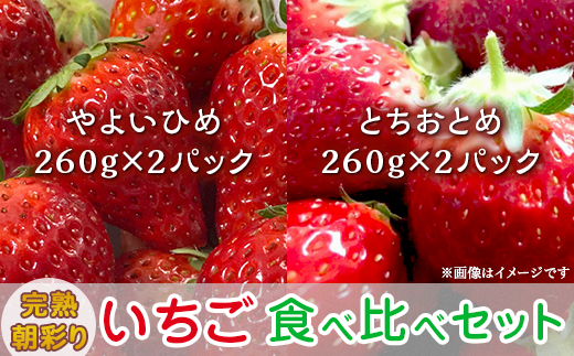 完熟朝彩りとちおとめ　260g以上×8パック