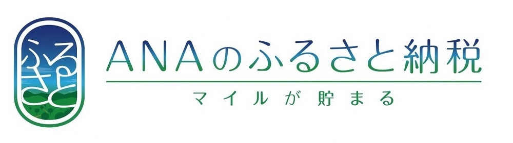 ANAのふるさと納税申込画面