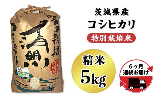 【6ヵ月連続お届け】茨城県産コシヒカリ特別栽培米5kg