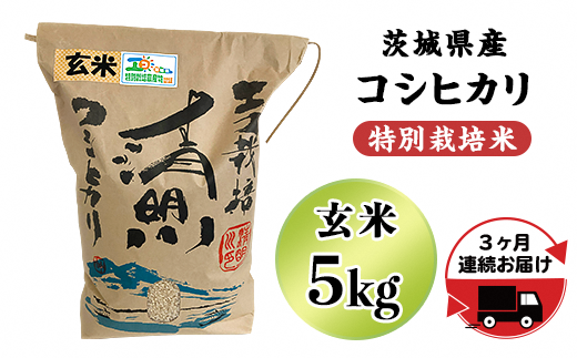 【3ヵ月連続お届け】茨城県産コシヒカリ特別栽培米5kg（玄米）