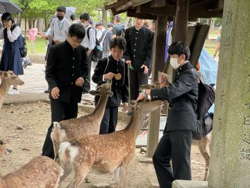 奈良公園