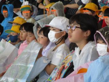 イルカショーを見ている写真