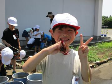 つかまえられるよ、ザリガニを持っている写真