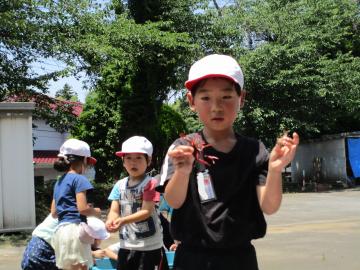 恐る恐るつかまえている写真