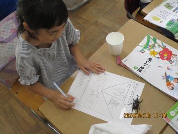 机の上にカブトムシを出して観察記録中