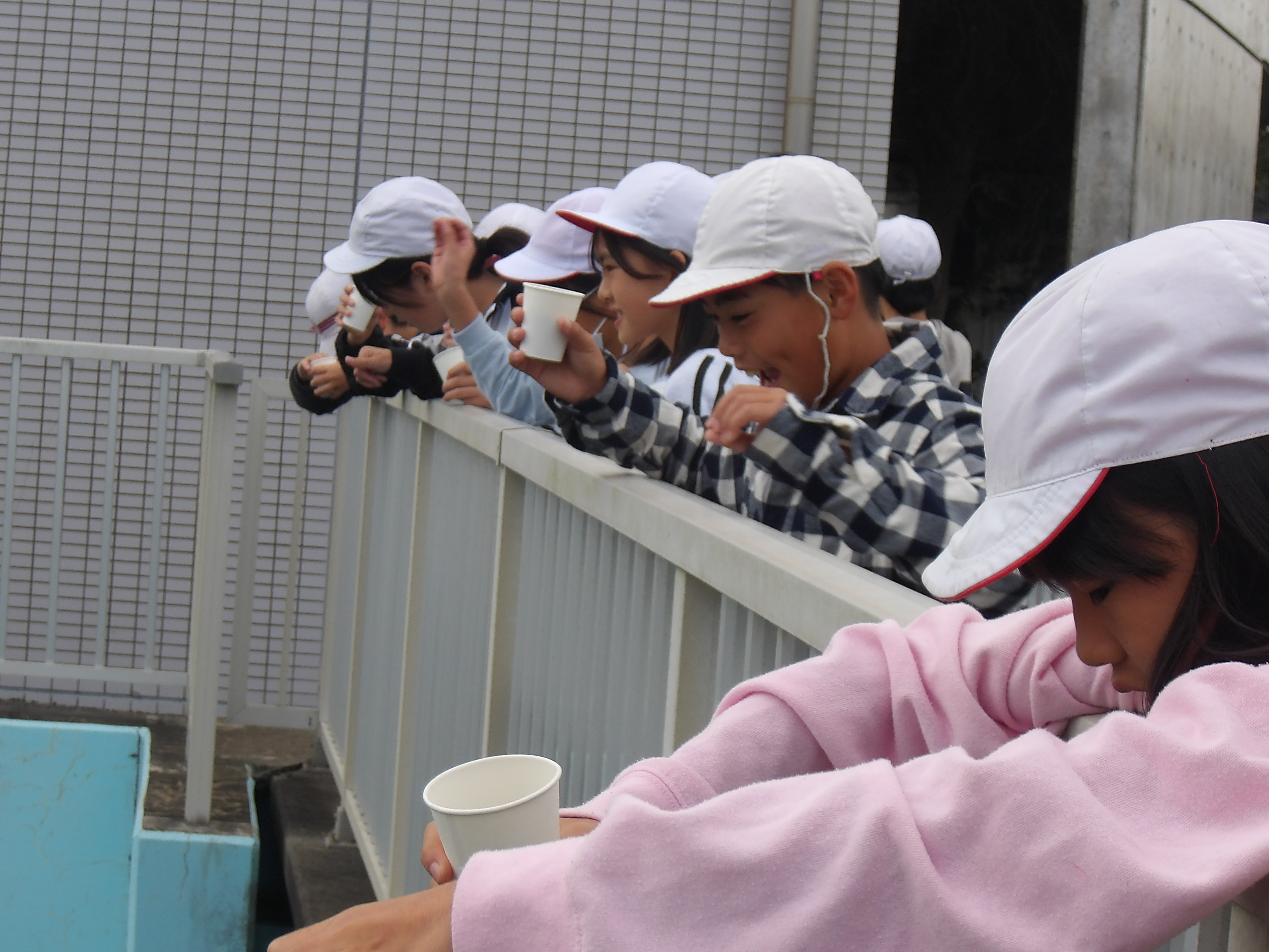 餌やり