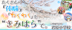小規模特認校 君原小学校