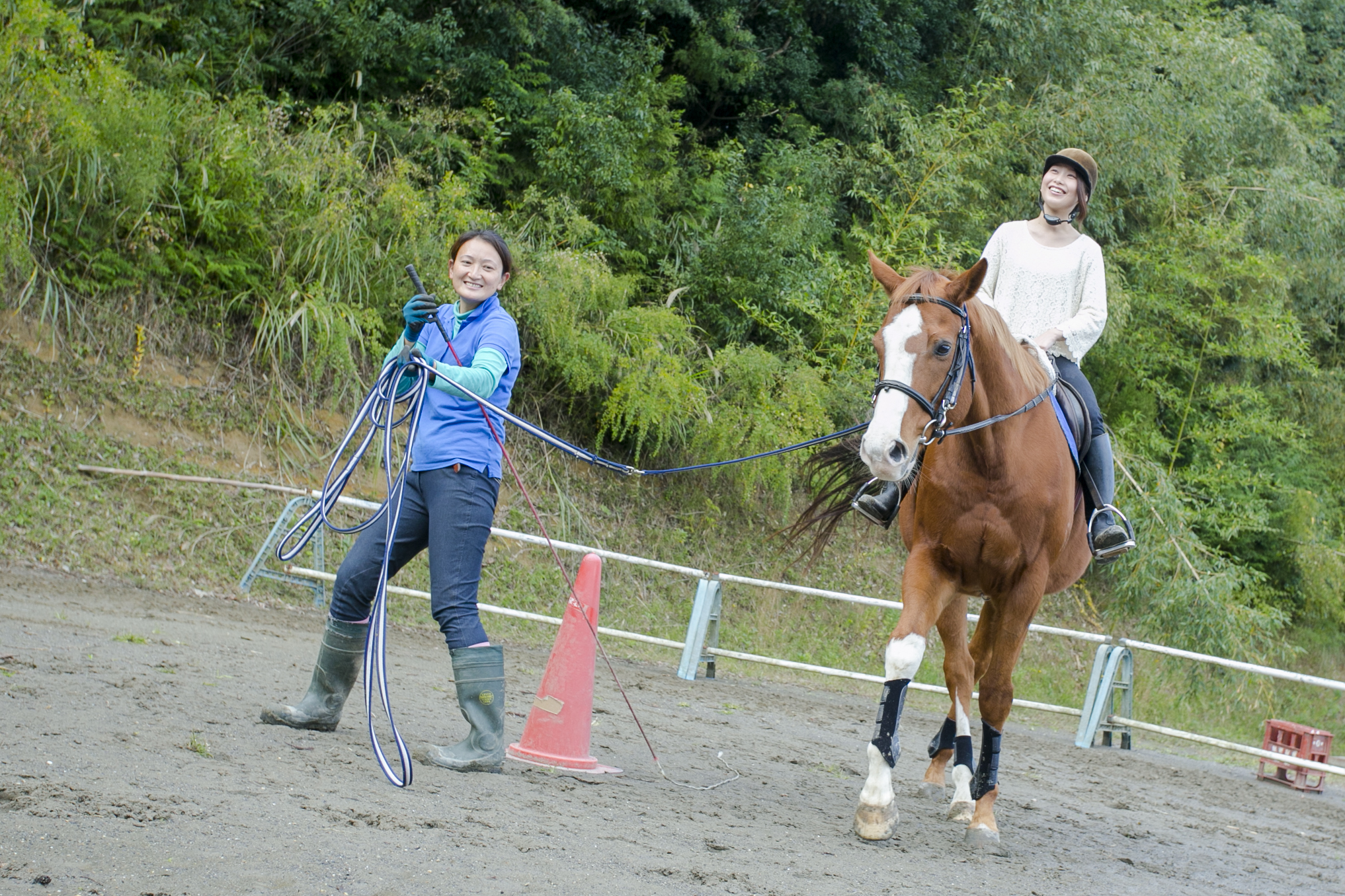 エボルブルス乗馬