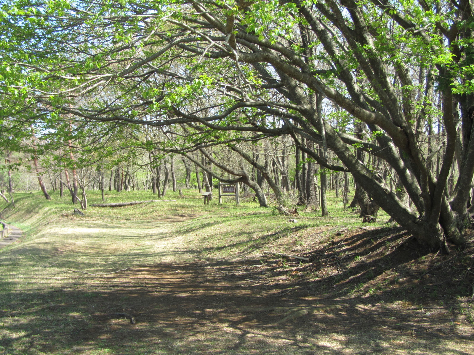 小池城址公園3