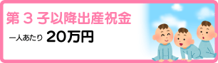 第3子以降出産祝金