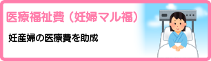 医療福祉費 （妊婦マル福）