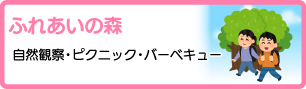 ふれあいの森